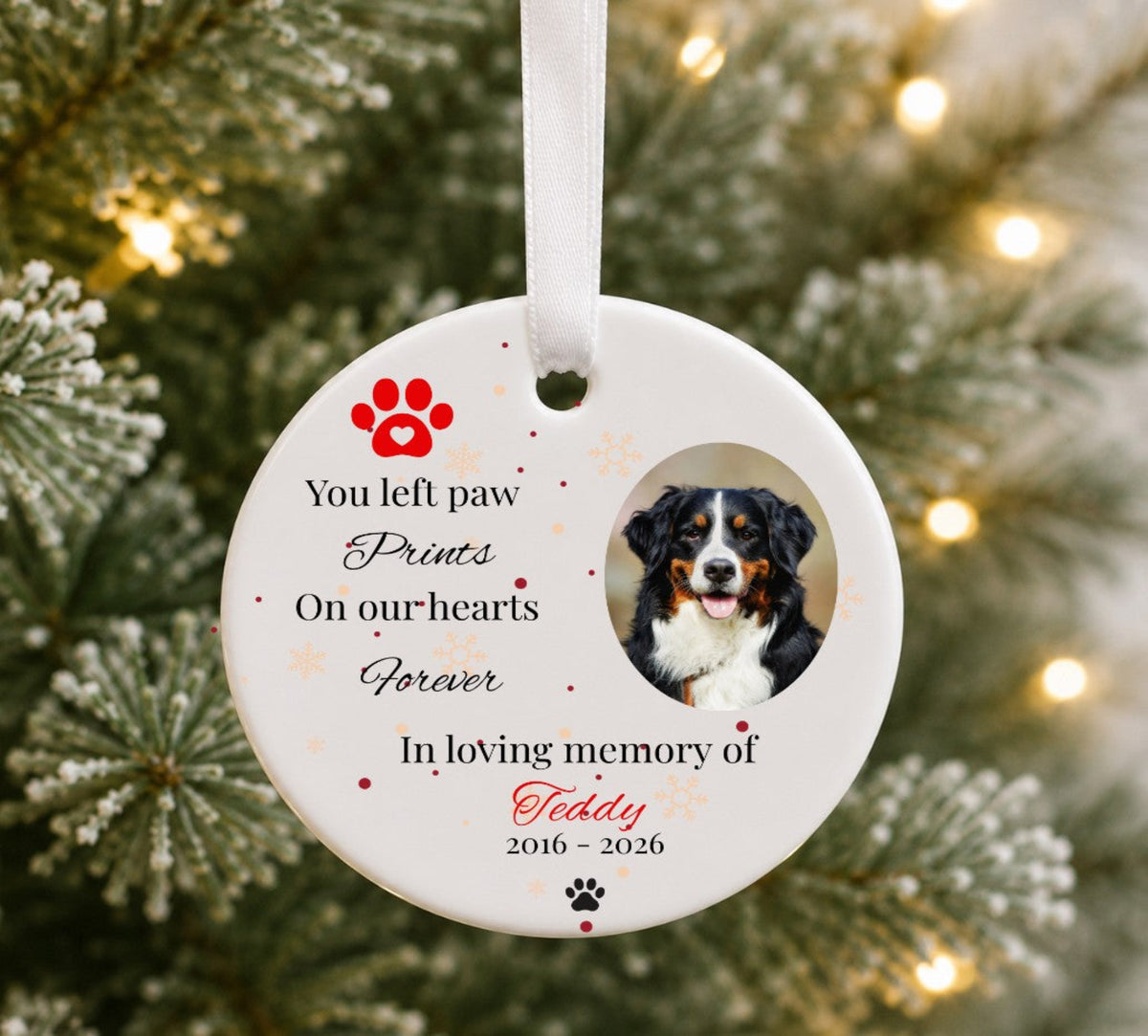 A personalised round white pet memorial Christmas ornament hanging on a Christmas tree with warm lights in the background. The ornament features a photo of a Bernese mountain dog, red paw print graphics, and printed text reading 'You left paw Prints On our hearts Forever In loving memory of Teddy 2016 - 2026'.